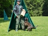dsc_1147-large
