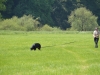 dsc_1297-large