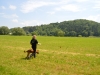 dsc_1316-large