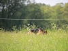 img_0021-medium