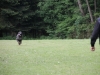 img_0084-medium