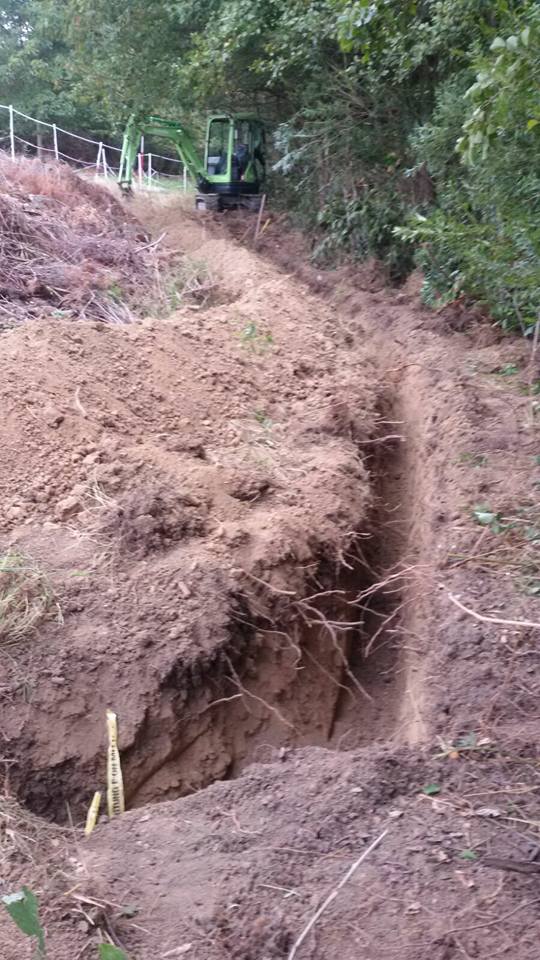 14485030_531355673720880_2545614088518398886_n